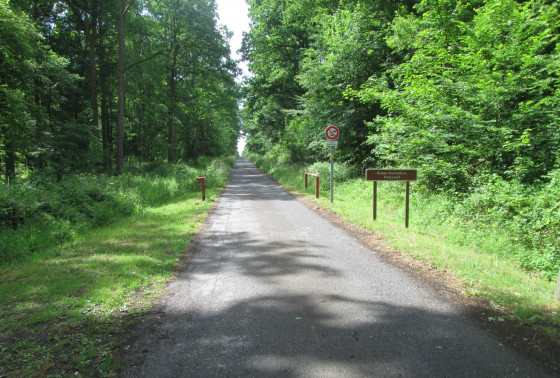 Route forestière Duhamel