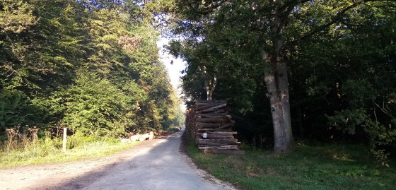 Route forestière interdite aux véhicules à moteur