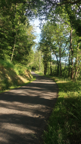 Route Lamure-Saint Cyr leChatoux