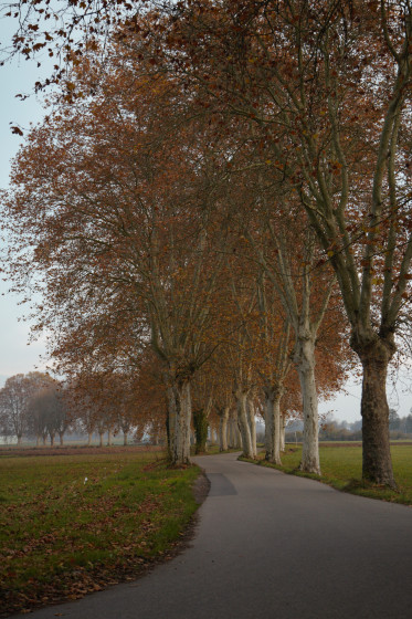 Route