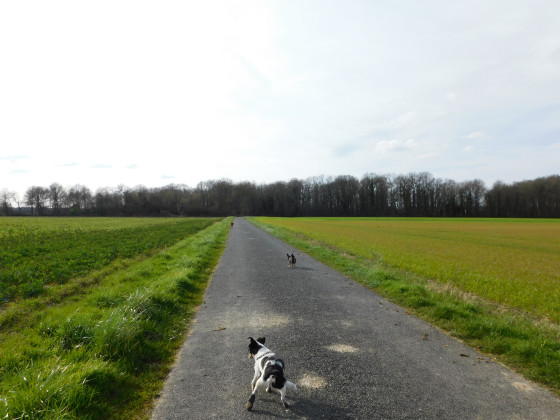 Route