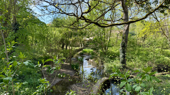 Ru de Balory depuis Seine-Port