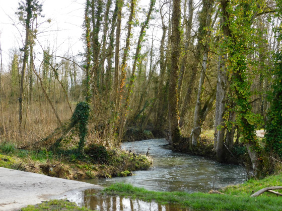 Ru du Bréon