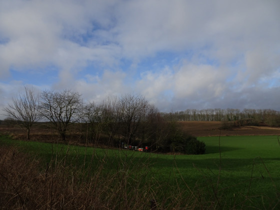 Rucher