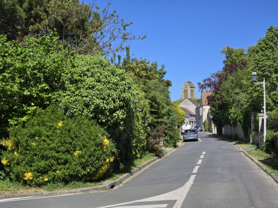 Rue Bourgeoise