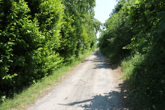 Rue de Bazincourt