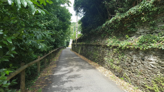 Rue du Cotour