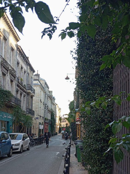 Rue Notre Dame