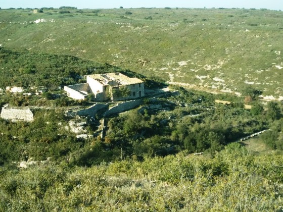 Ruine d\'un mas