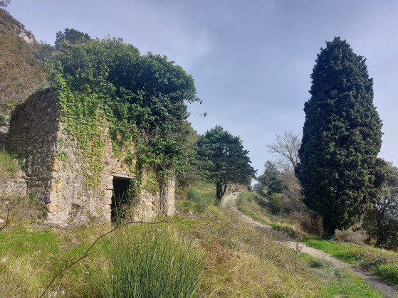 Ruine dans le vallon du Borrigo