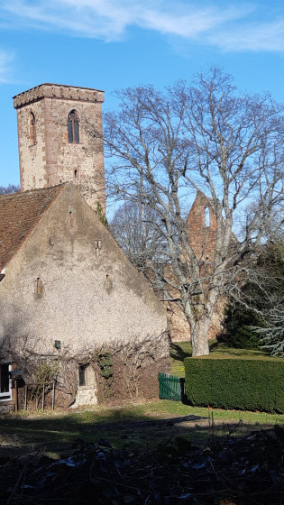 Ruine de l\'abbaye
