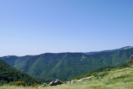 Ruine de la bergerie