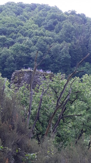 Ruine du chateau de Labastide -Vassals
