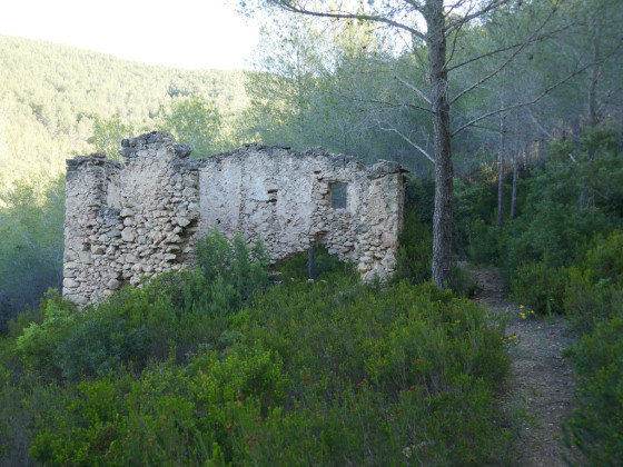 Ruine