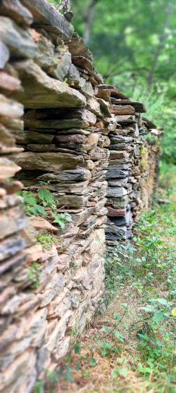 ruine