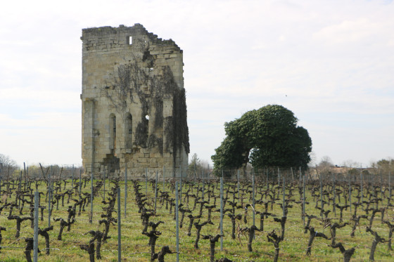 Ruines de l\'Eglise de Queynac