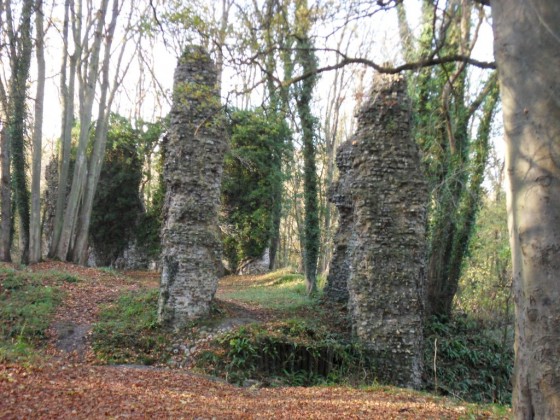 Ruines du château d'Hautot