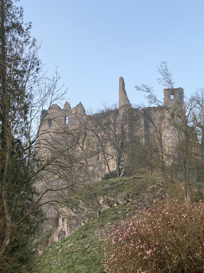 Ruines du château de Montaigle