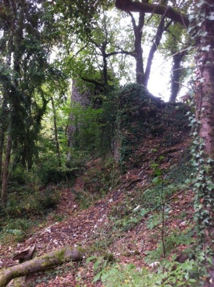Ruines du château de Montdidier