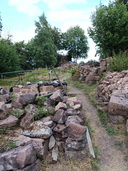 Ruines du chateau de Salm