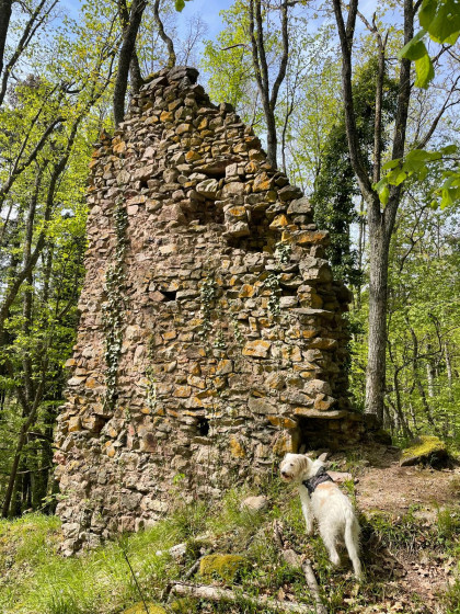 Ruines du couvent de Sylo