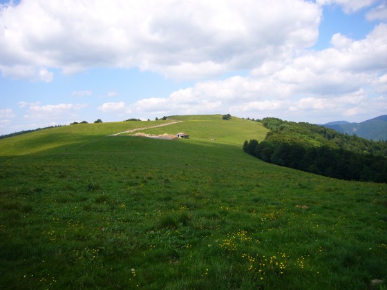 Ruines du Wissgrut