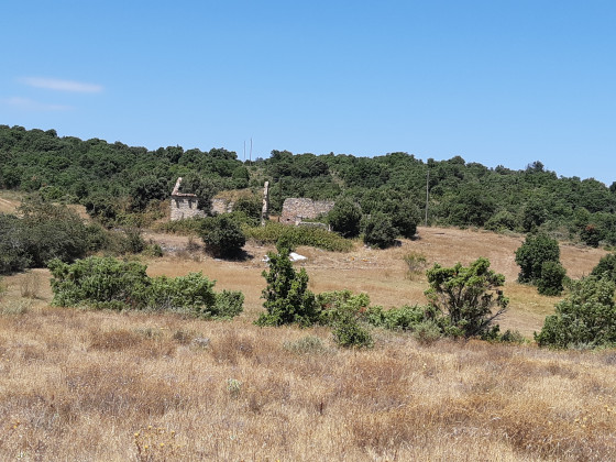 Ruines imposantes...