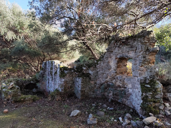 Ruines
