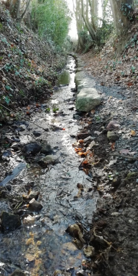 ruisseau am&eacute;nag&eacute;