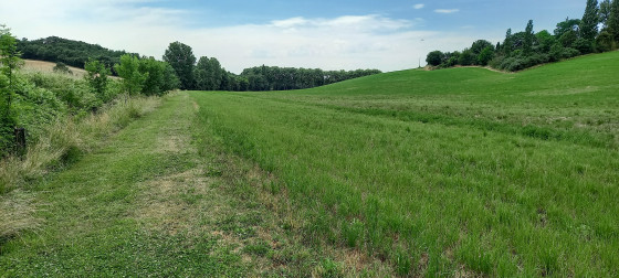 Ruisseau d'En Toulouse