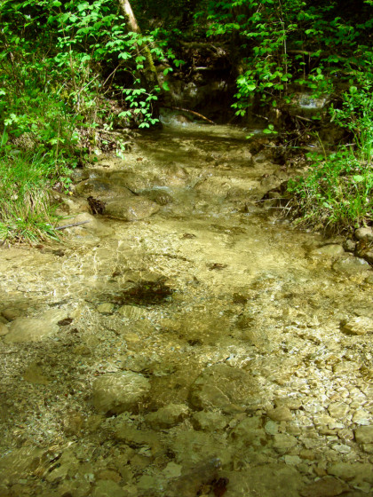 Ruisseau d’Haute-Roche