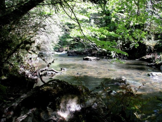 Ruisseau de Bardes