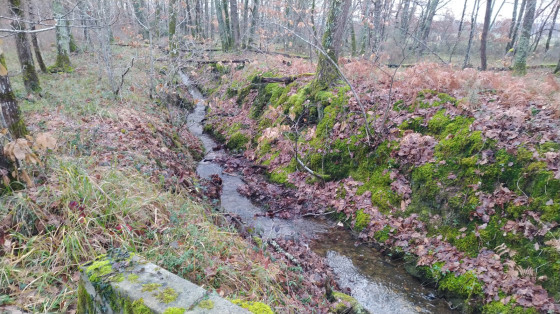 Ruisseau de Cazalas