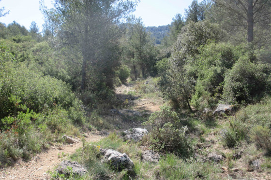 Ruisseau de Féraud 1