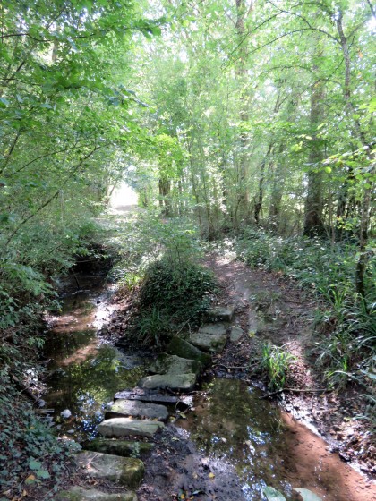 Ruisseau de Jeu-Maloches