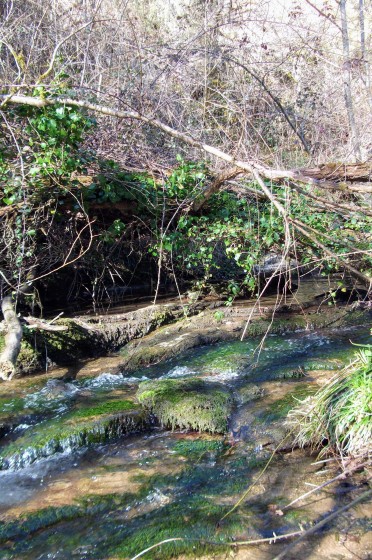 Ruisseau de l\'Andouquette