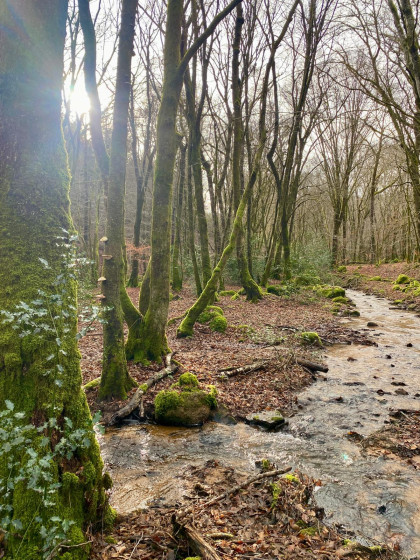 Ruisseau de la chaume (hiver)