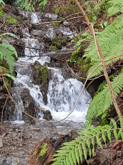 Ruisseau de la Roule