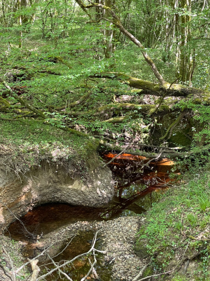 Ruisseau de Pichagouille