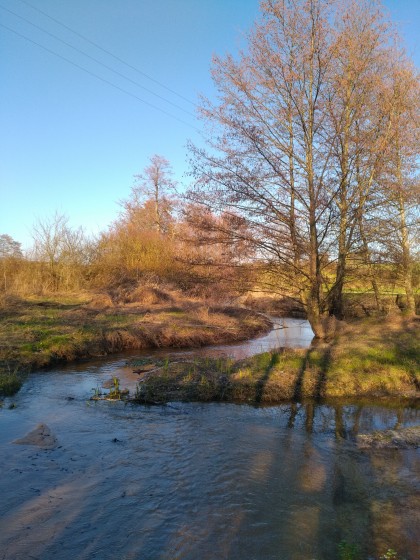 Ruisseau de Regnault