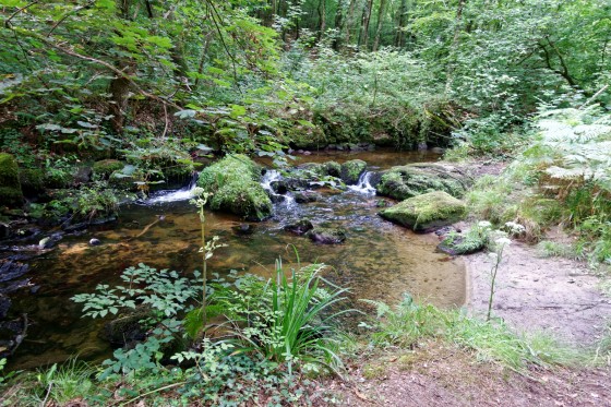 Ruisseau de St Eturien