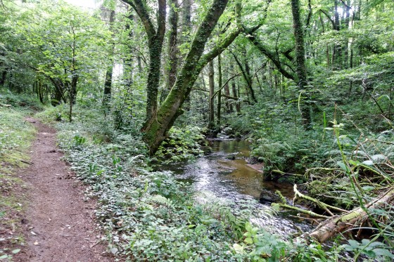 Ruisseau de St Eturien