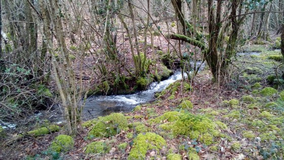 Ruisseau de Trideur