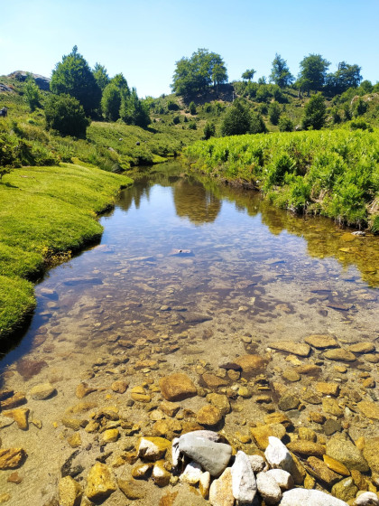 Ruisseau de Veracolongu