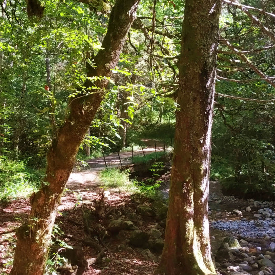 ruisseau des Corbières