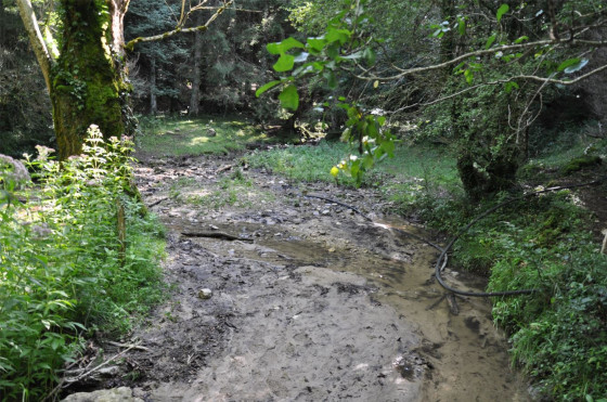 Ruisseau des Moreaux