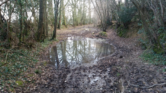 ruisseau du Boctot