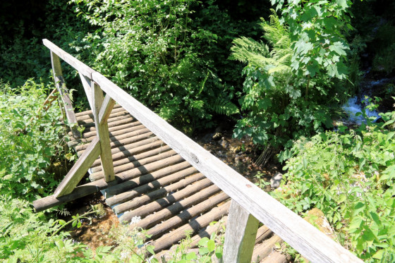 Ruisseau du Braunbach