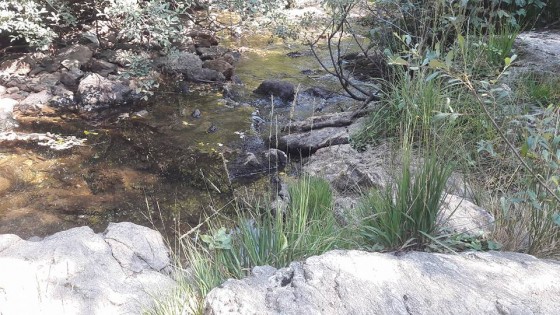 Ruisseau du Bureau