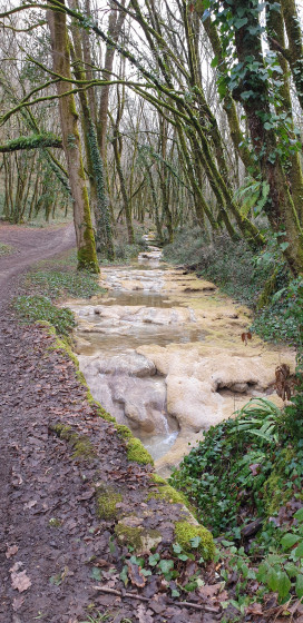 ruisseau du caillon
